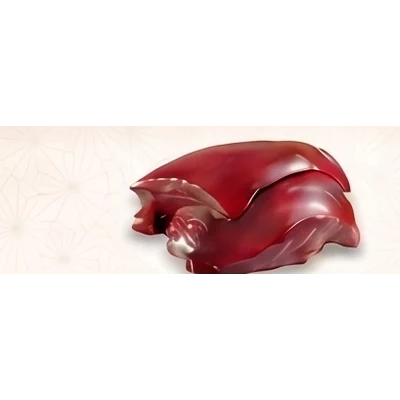 Liver