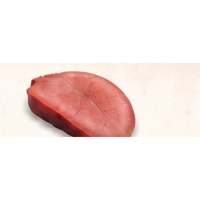 Beef Tongue